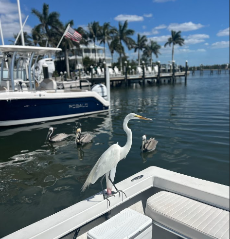This Is What Real Family Life in Southwest Florida Actually Looks Like in 2026